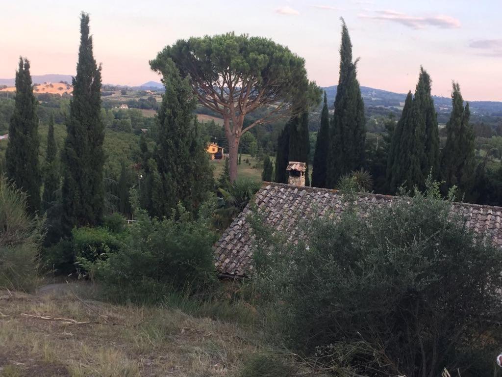 Casale Sant'Elia Capranica Exterior foto